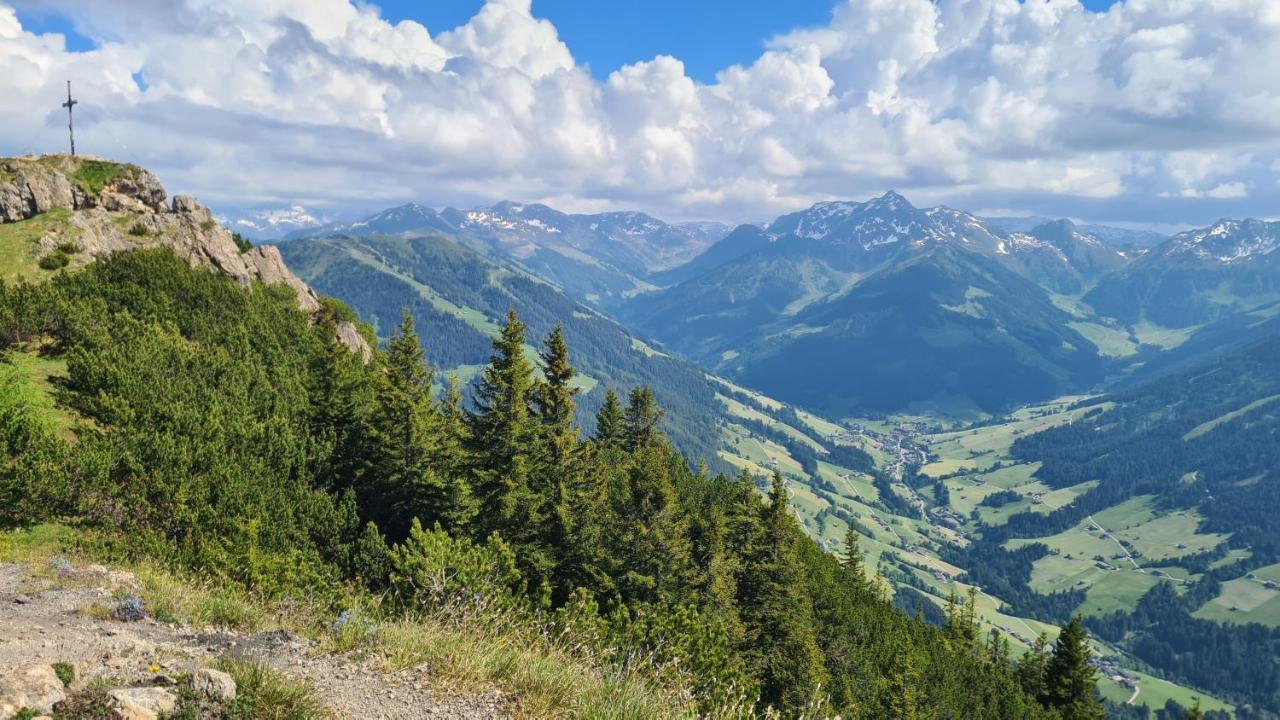 Studio Schwarzenauer Διαμέρισμα Alpbach Εξωτερικό φωτογραφία