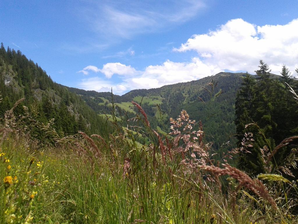 Studio Schwarzenauer Διαμέρισμα Alpbach Εξωτερικό φωτογραφία