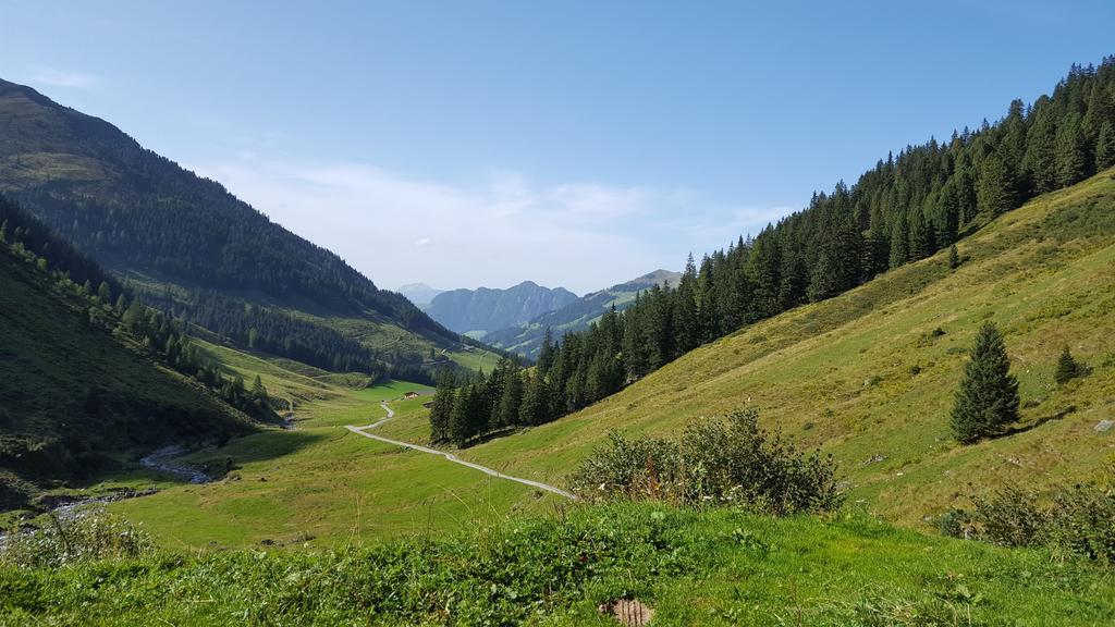 Studio Schwarzenauer Διαμέρισμα Alpbach Εξωτερικό φωτογραφία